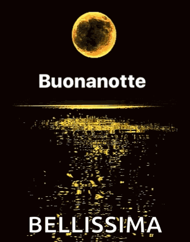 Good Night Buonanotte GIF