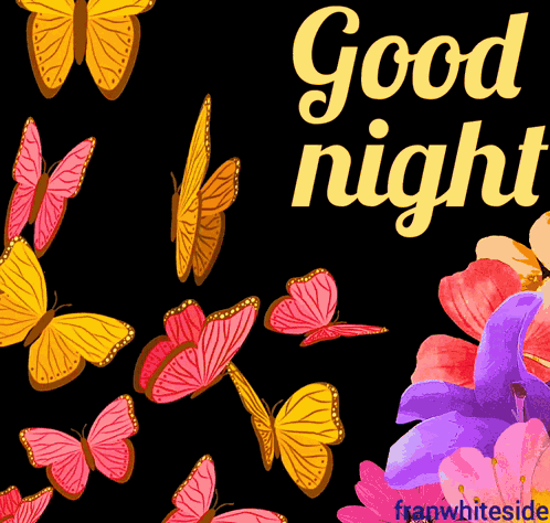 Good Night Butterflies GIF