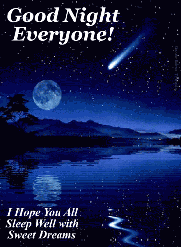 Good Night Everyone GIF