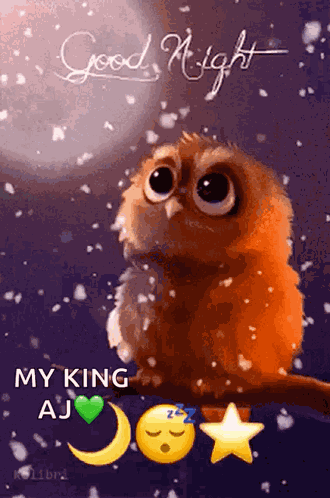 Good Night GIF