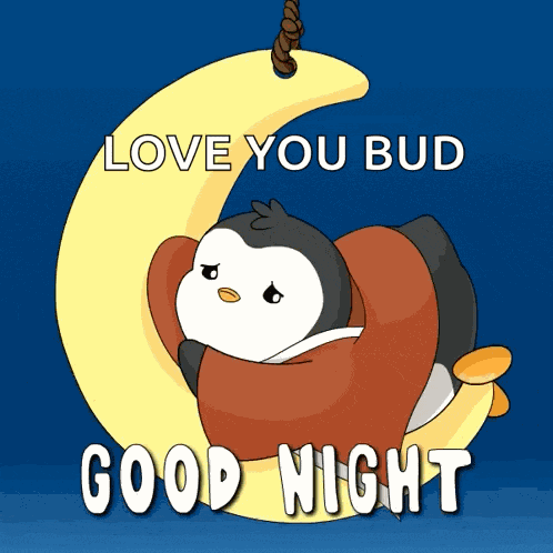 Good Night Gn GIF