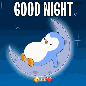 Good Night Gn GIF