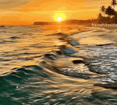 Good Night Golden Light GIF