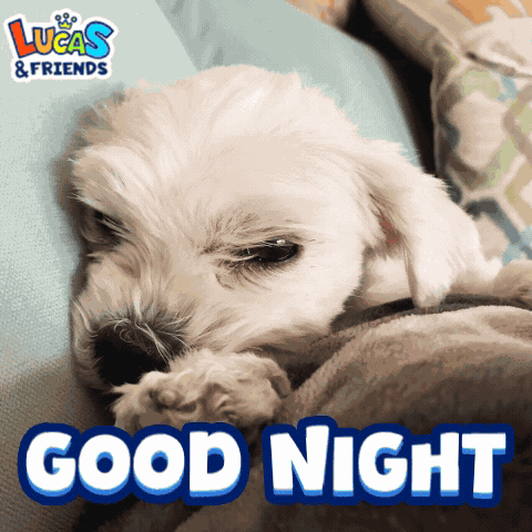 Good Night Good Night Dog GIF