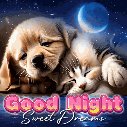 Good Night Good Night Friend GIF
