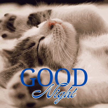 Good Night Goodnight Meme