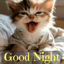 Good Night Goodnight GIF