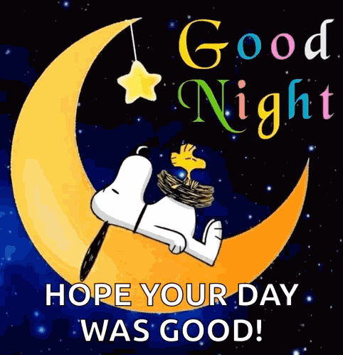 Good Night Goodnight GIF