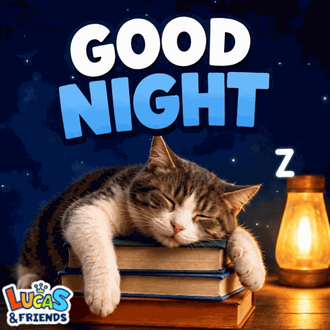 Good Night Goodnight GIF