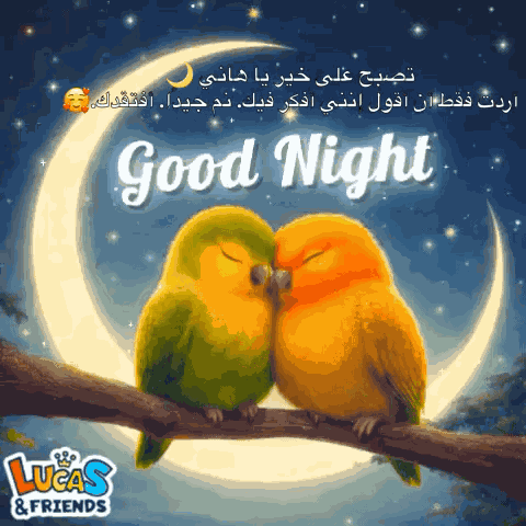 Good Night Goodnight GIF