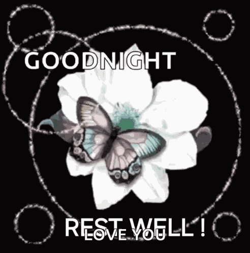 Good Night Goodnight GIF