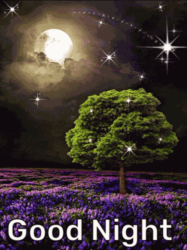 Good Night Greetings GIF