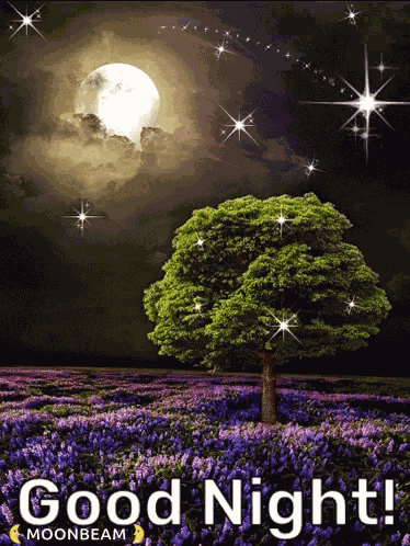 Good Night Greetings GIF