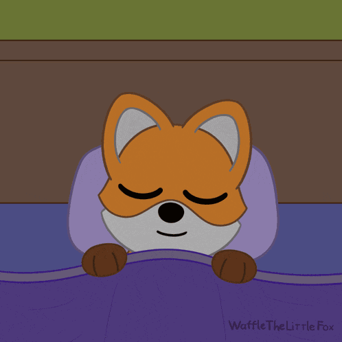 Good Night Gute Nacht GIF