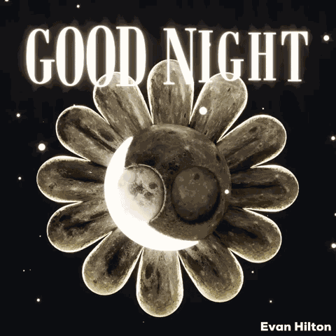 Good Night GIF