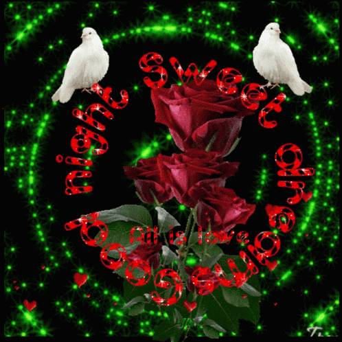 Good Night Have A Nice Dream GIF