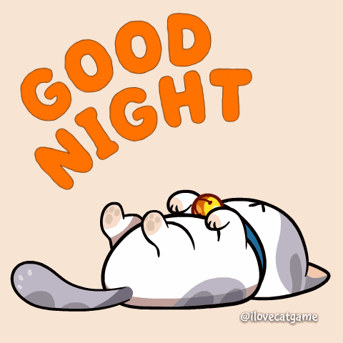 Good Night GIF