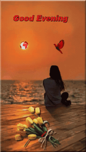 Good Night Images GIF