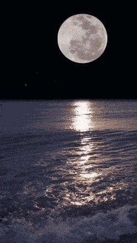 Good Night Images Sweet Dreams Good Night Gif GIF
