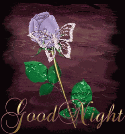 Good Night GIF