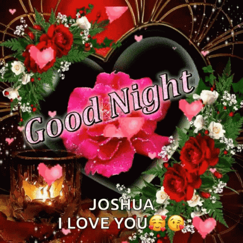 Good Night GIF
