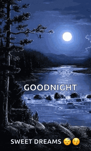 Good Night GIF