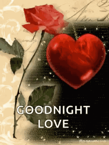 Good Night Love Flower GIF