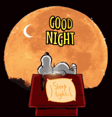 Good Night GIF