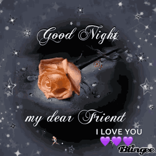 Good Night My Dear Friend GIF