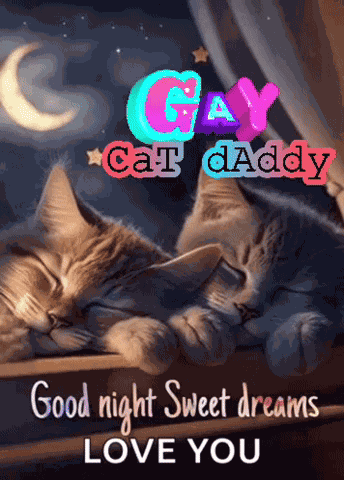 Good Night My Love Goodnight And I Love You GIF