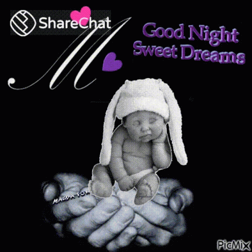 Good Night Night GIF