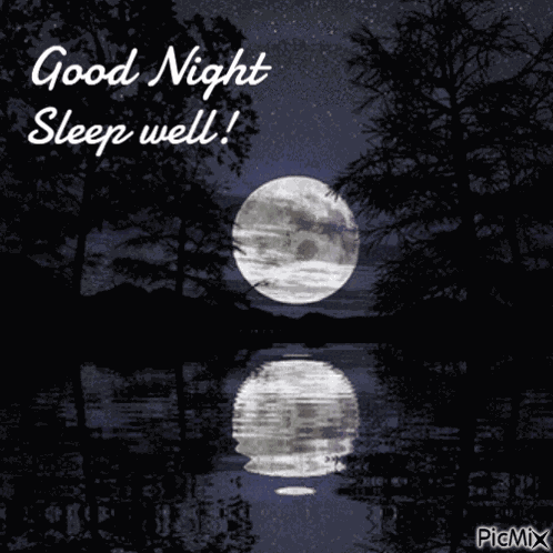Good Night Night Night GIF