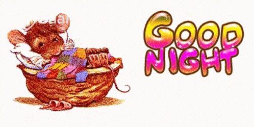 Good Night Night GIF