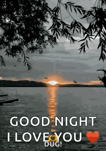 Good Night Night GIF