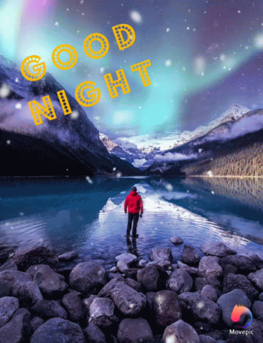 Good Night GIF