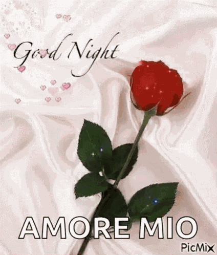 Good Night Rose GIF