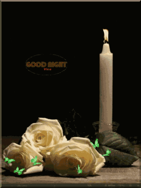 Good Night GIF