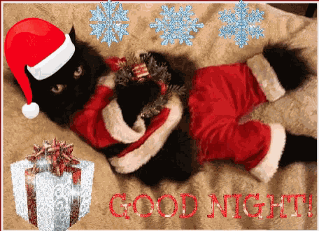 Good Night Santa Hat GIF
