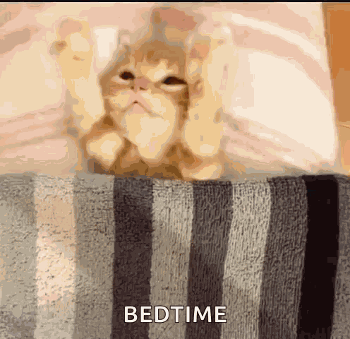 Good Night Siesta GIF