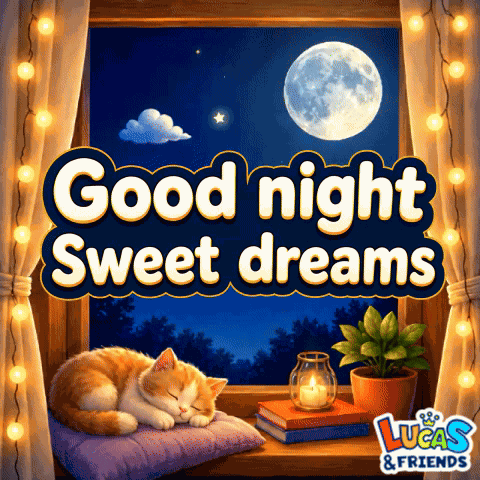 Good Night Sleep GIF