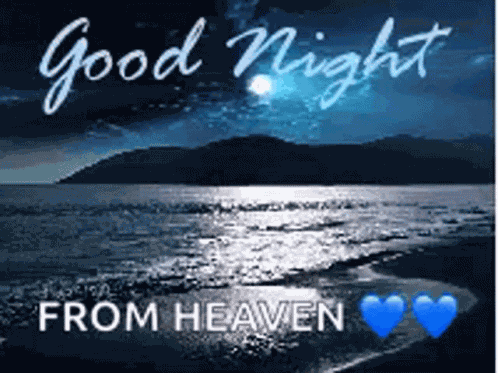 Good Night Sleep Well GIF