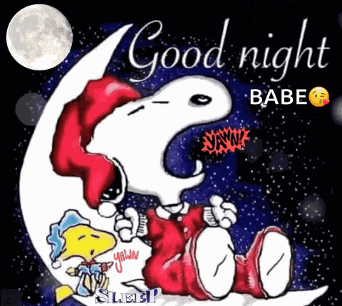 Good Night GIF