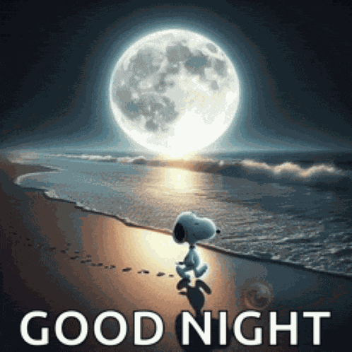 Good Night Snoopy Meme