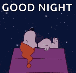 Good Night Snoopy Meme
