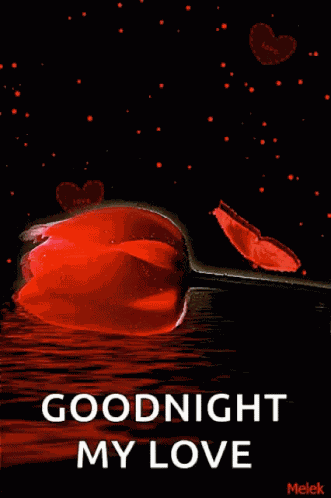 Good Night Sparkles GIF