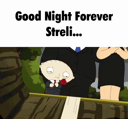Good Night Streli Strelicat GIF
