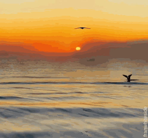 Good Night Sunset GIF