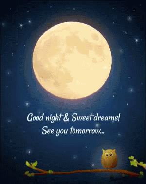 Good Night Sweet Dreams GIF