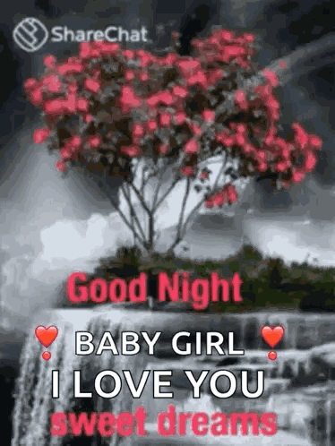 Good Night Sweet Dreams GIF