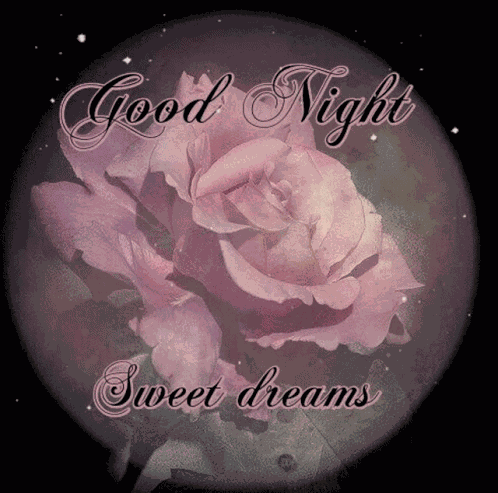 Good Night GIF